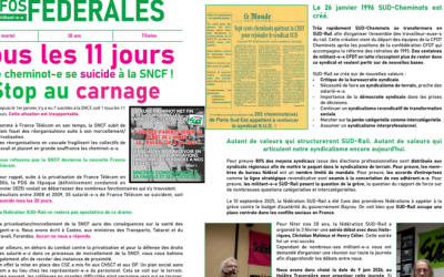 Image / illustration