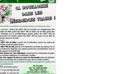 Image / illustration